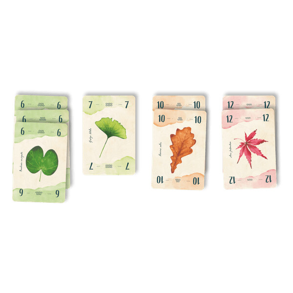 13 Leaves