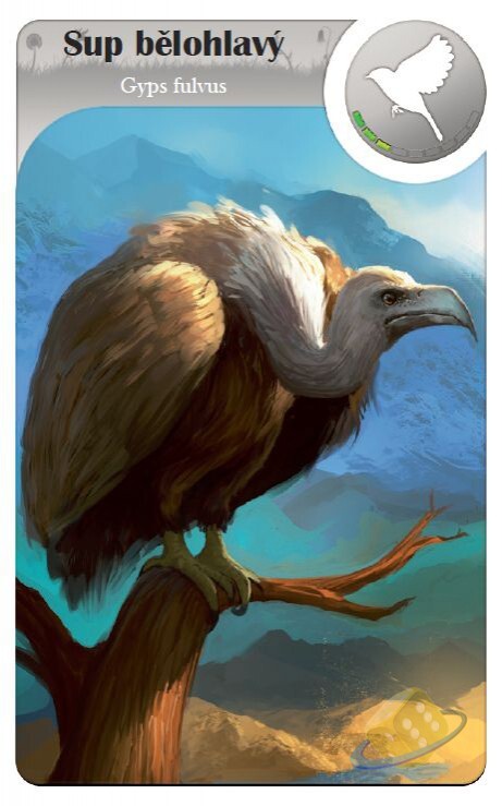Cardline Svět zvířat