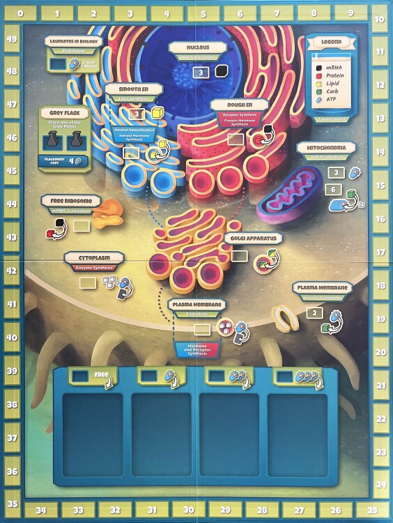 Cytosis: A Cell Biology Board Game