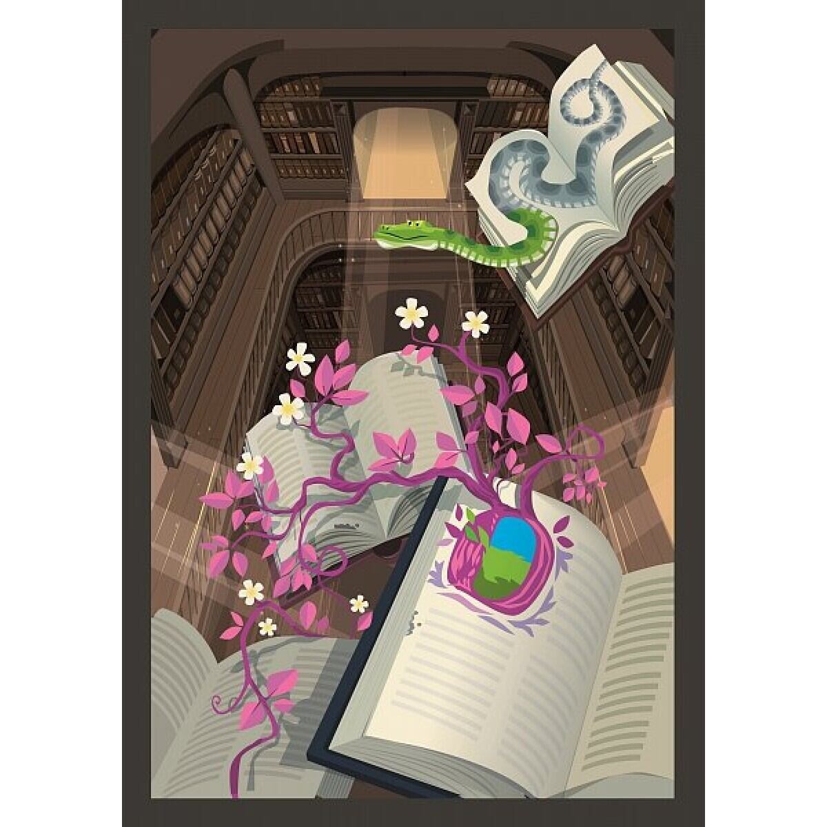 Dixit 10 - Mirrors