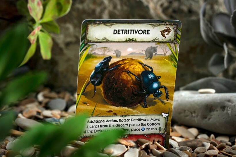 Evolution: New World – Butterfly Effect
