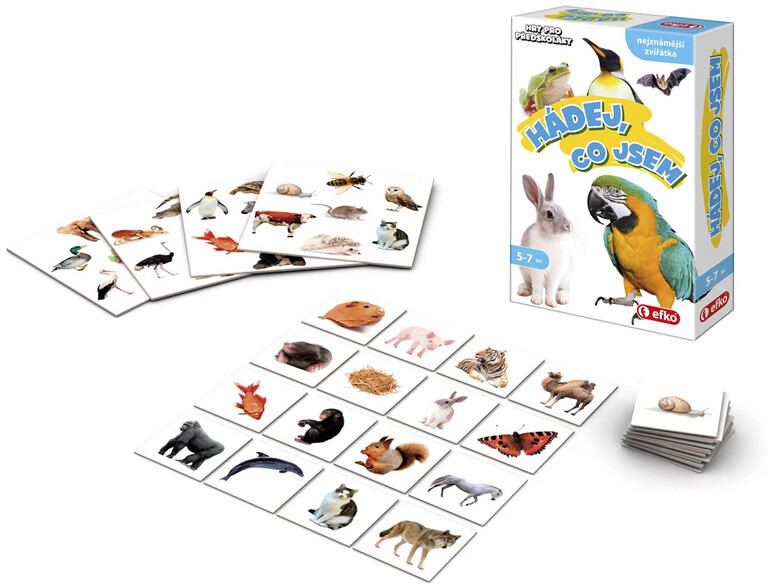 Hry pro předškoláky – Hádej, co jsem