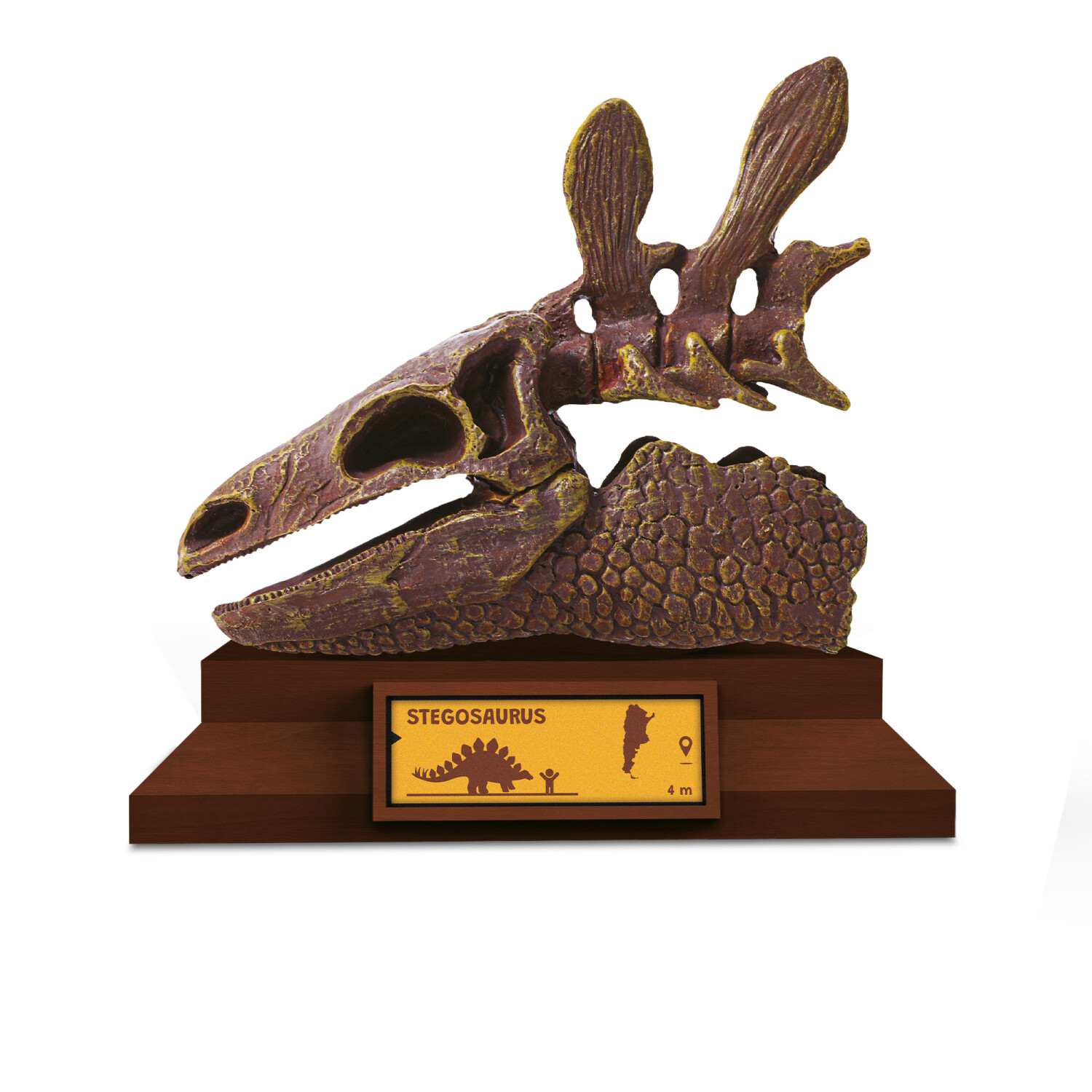 Lovci lebek: Stegosaurus