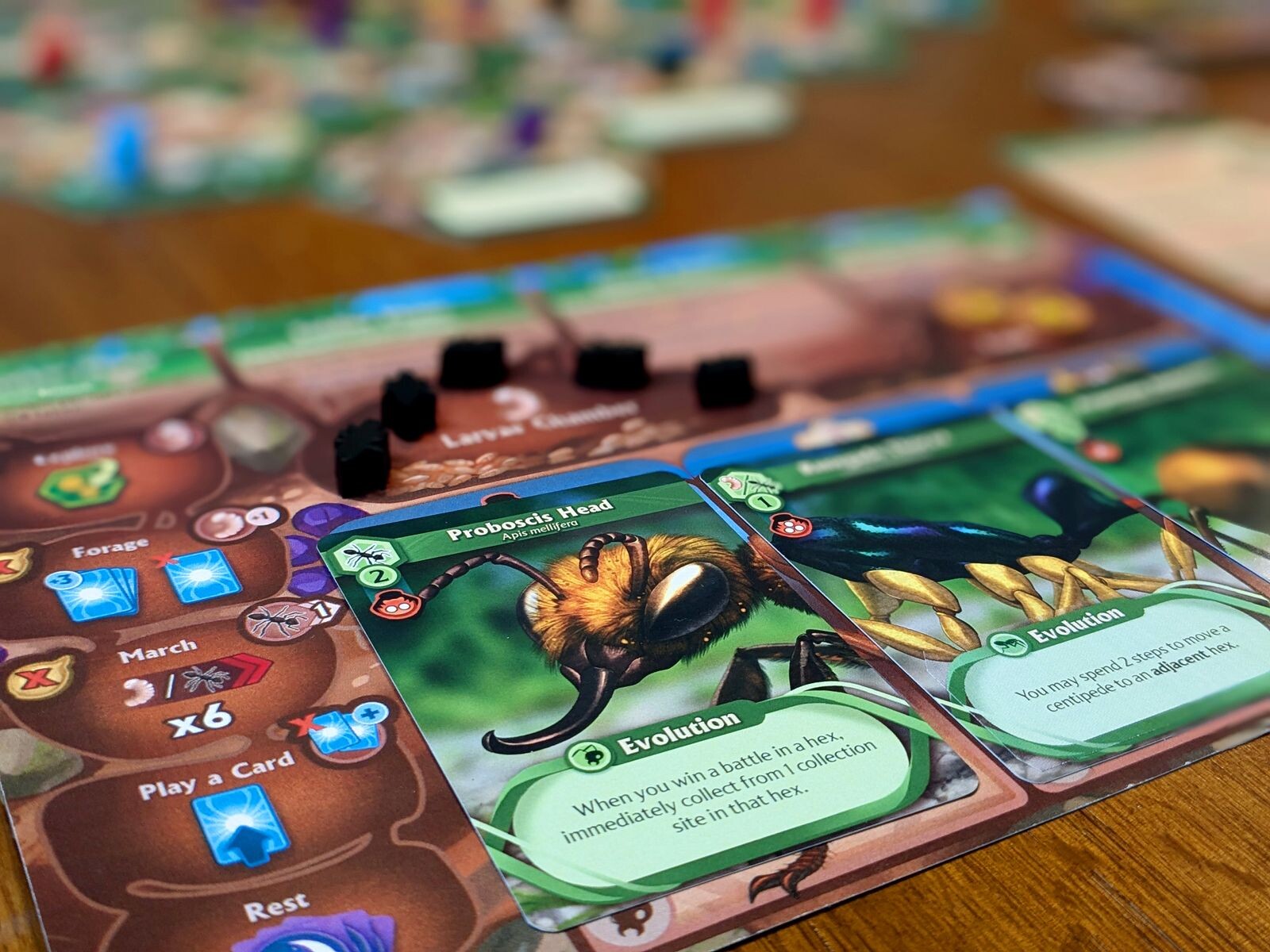March of the Ants: Evolved Edition