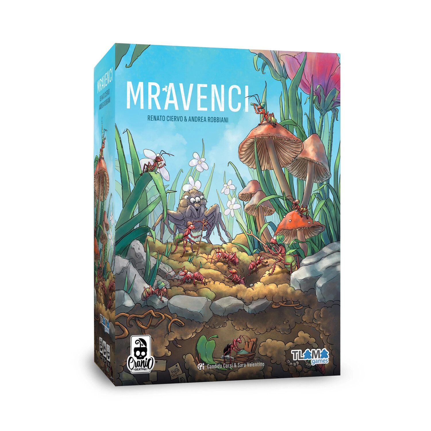 Mravenci