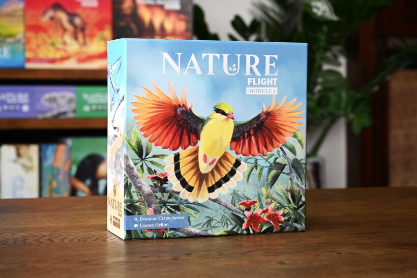 Nature: Flight