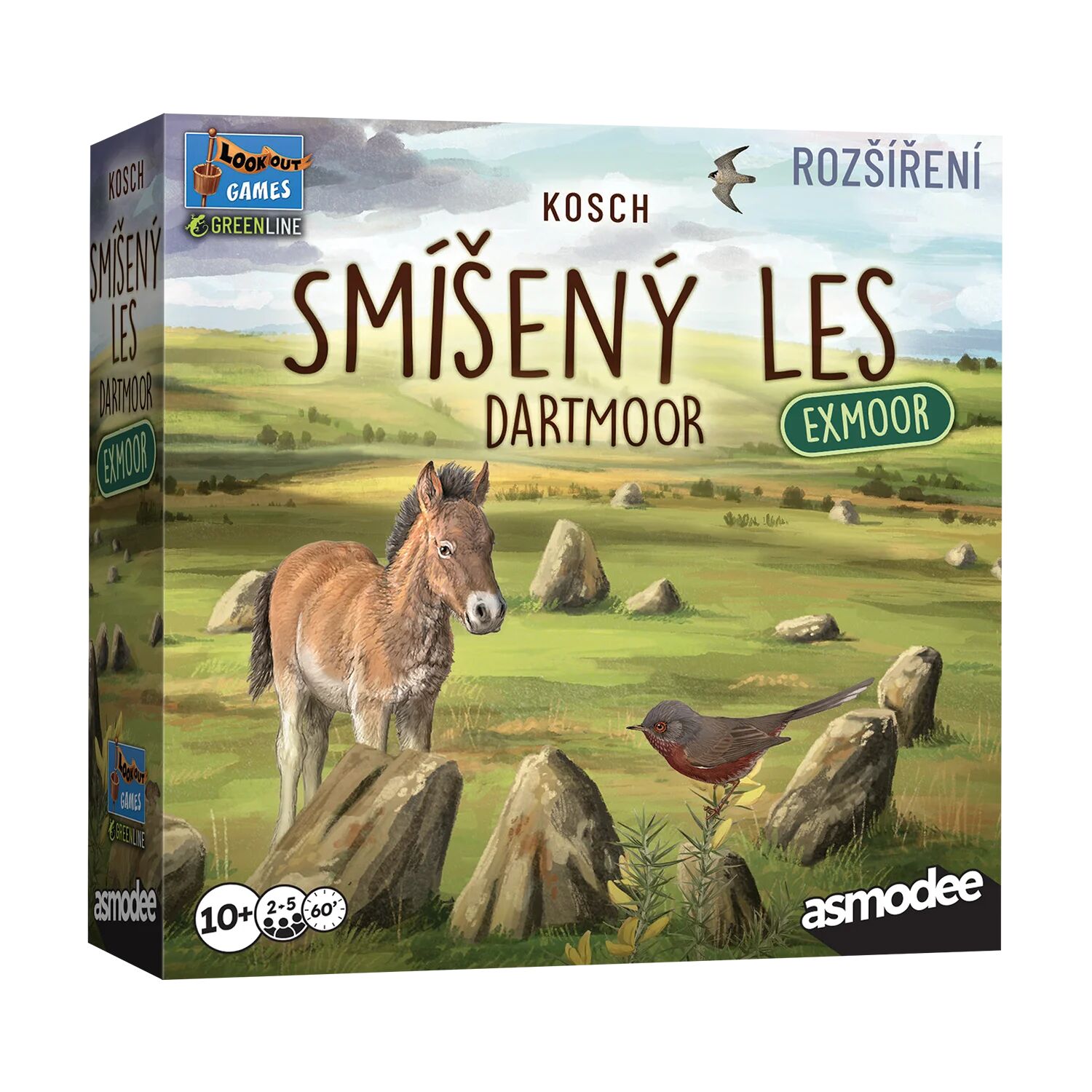 Smíšený les: Dartmoor - Exmoor