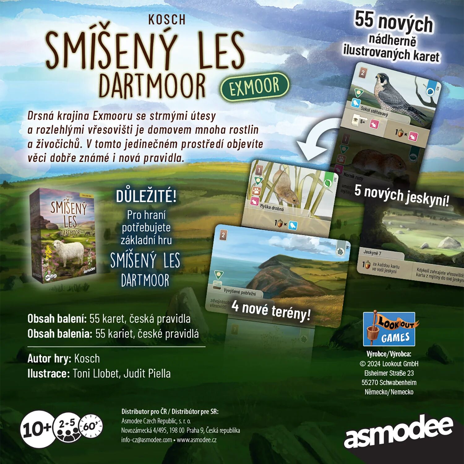 Smíšený les: Dartmoor - Exmoor