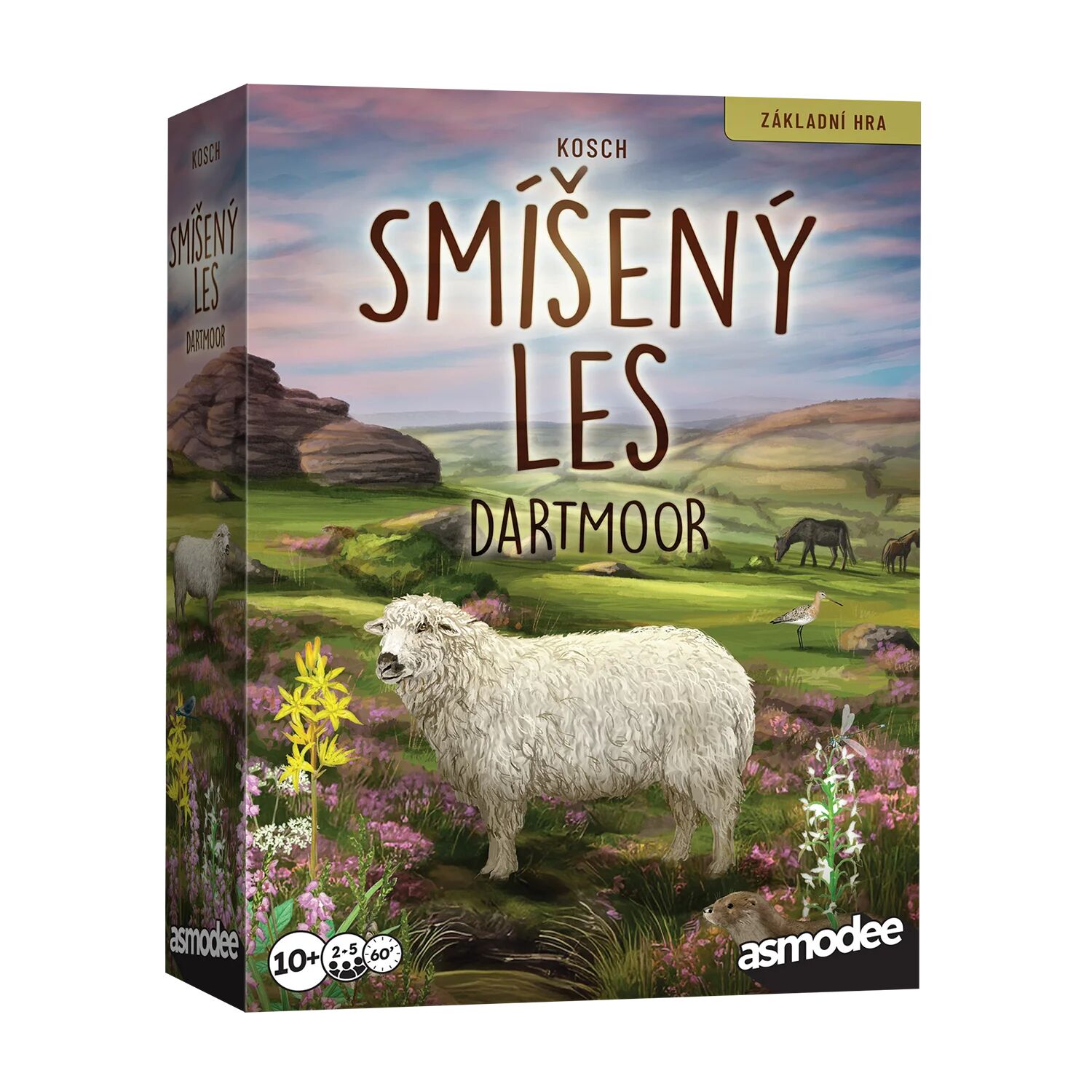 Smíšený les: Dartmoor