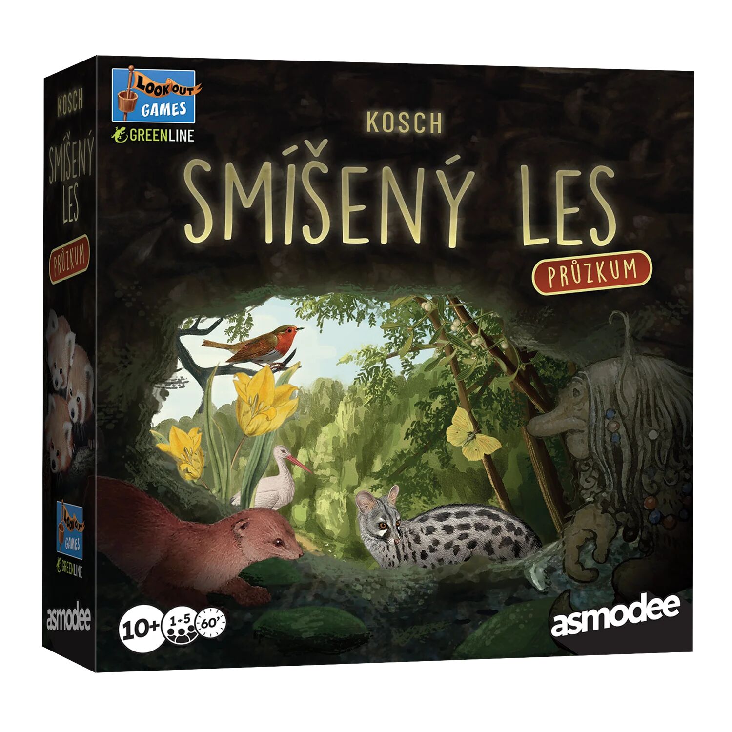 Smíšený les: Průzkum