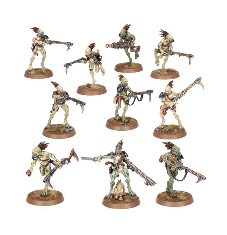 T'au Empire: Kroot Carnivores (Warhammer 40,000)