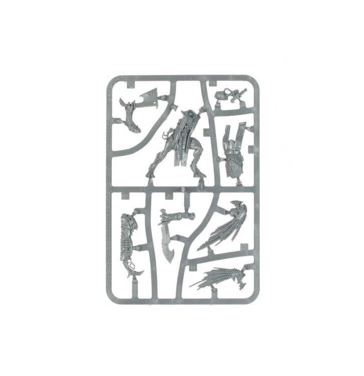 T'au Empire: Kroot Flesh Shaper (Warhammer 40,000)