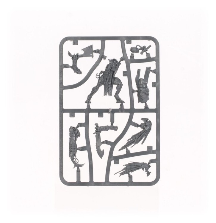 T'au Empire: Kroot Trail Shaper (Warhammer 40,000)